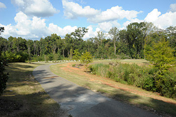 Tanyard Creek Park