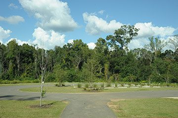 Tanyard Creek Park